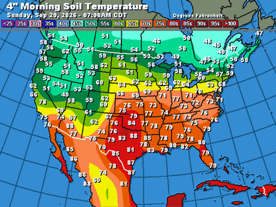 Soil Temperatures