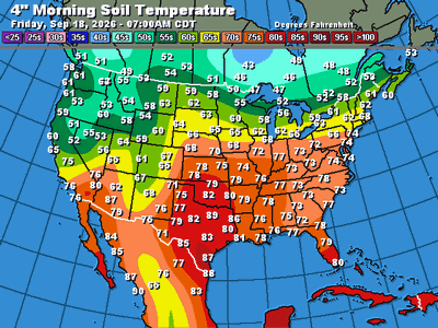 Soil Temperatures